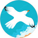 Sandra O’Hare profile picture