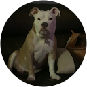 Wilcenys Rodriguez profile picture